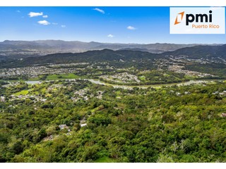 Terreno en Gurabo de 2.7684 Cuerdas