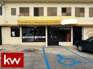 Urb. Rexville, Casa en Bayamón