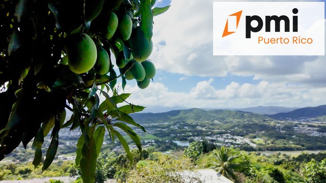 Terreno en Gurabo de 2.7684 Cuerd...