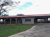 Bo. Mamey II