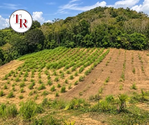 Extraordinaria FINCA de 13 cuerdas