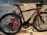 Bicicleta de Nino