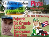 Cotizaciones gratis
