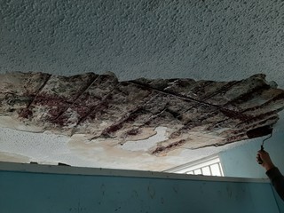 TECHO- VARILLA EXPUESTA -HANDYMAN | Servicios en Clasificadospr.com