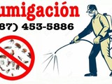 Fumigacion Control de Insectos 