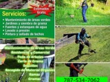 Hago tu patio