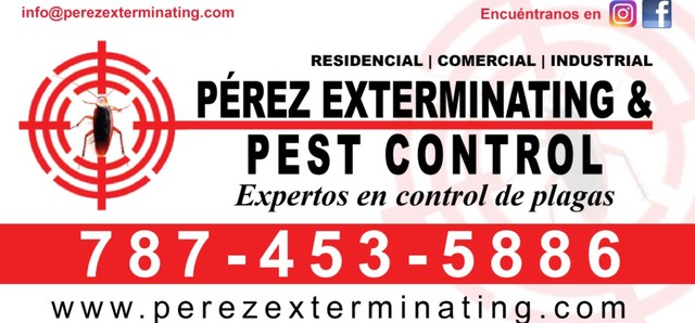 Fumigación Residencia