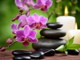 Terapeuta de masaje certificado