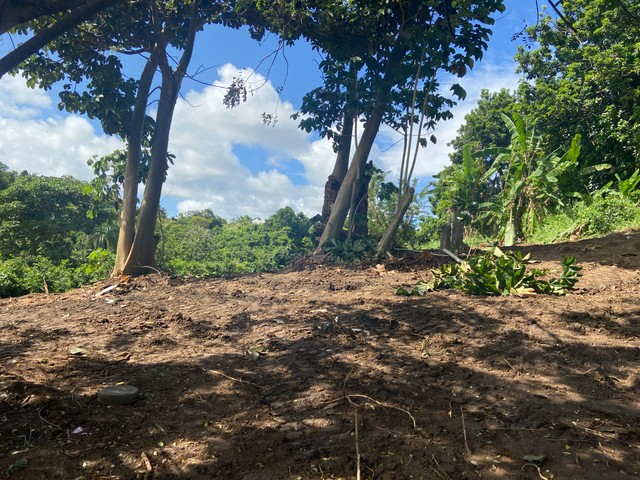 Finca en Humacao