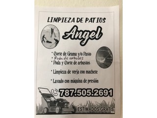 Limpieza y mantenimiento de patios para Compra/Venta | Servicios en  Clasificadospr.com