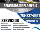 Guillo Plumbing /Plomero Licenciado