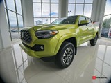 Toyota Tacoma 4WD 2023
