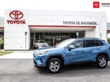 Toyota RAV4 XLE (Grayish Blue)