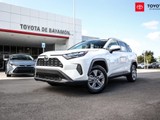 Toyota RAV 4 XLE (White) 