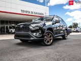 Toyota Rav4 Woodland (Black)