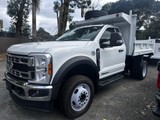 2025 Ford Súper Duty F-550 DRW